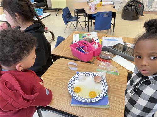 Boy and girl sitting at a desk in front of plate of two cracked eggs, one brown, one white. Shells are different, yolk same.